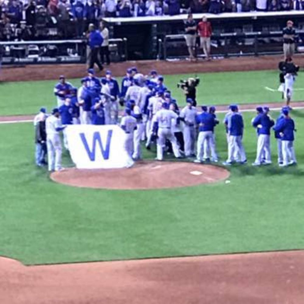 Meet your Posher, Crystal